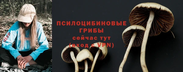 меф Нязепетровск