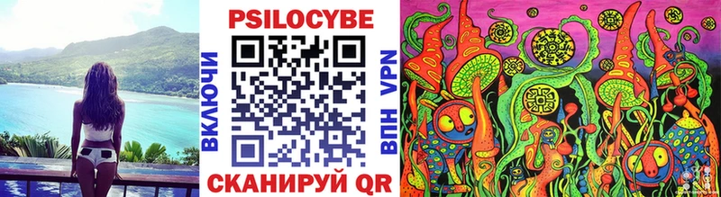 Псилоцибиновые грибы мицелий Стародуб